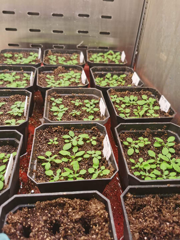 1624349488645264.jpg 11.jpg