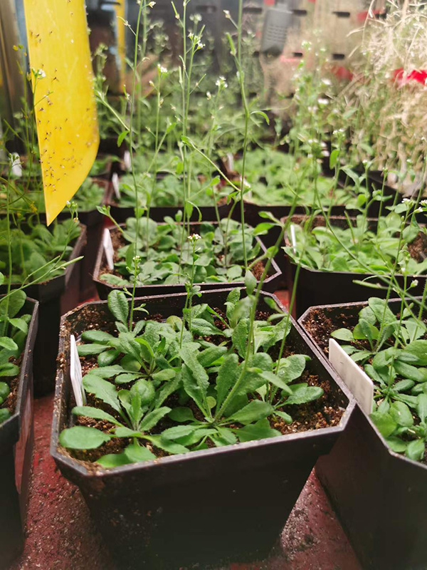 1624349502791401.jpg 33.jpg