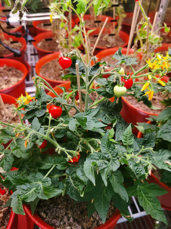 1624349508300050.jpg 44.jpg