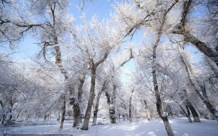 1678675355264549.png b320743d2a0b7b26c78465df11701cb.png